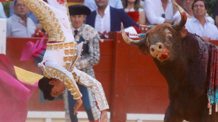 Momento del percance que sufrió Marco Pérez en la plaza de Alicante