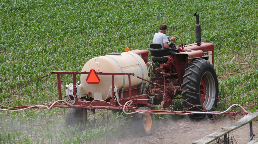Un agricultor echando insecticida en sus campos de cultivo