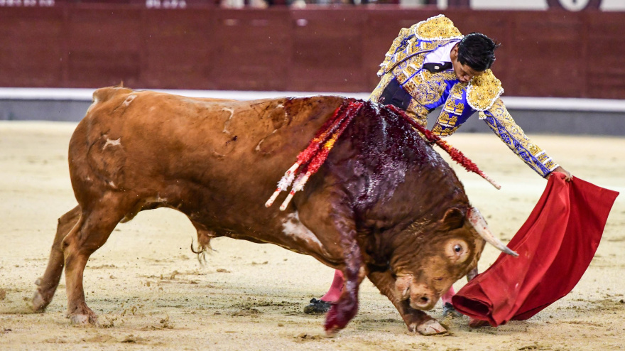 Natural de Pedro Luis ante el sexto novillo de Sagrario Moreno