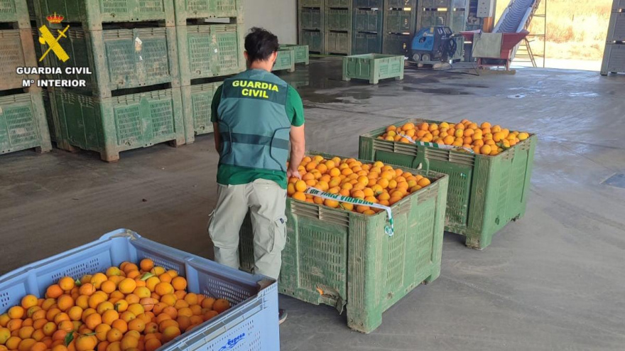 800 kilos de fruta incautada por la Guardia Civil