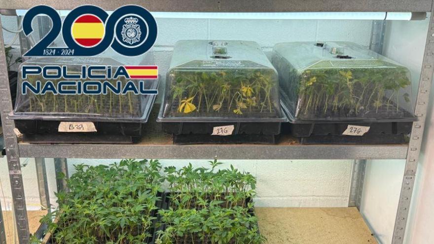 10  operaciones antidroga en la provincia de Granada en junio deja 35 detenidos