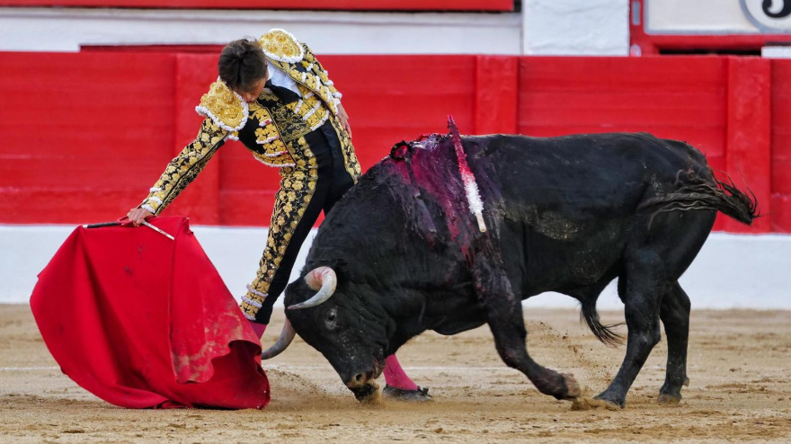 Derechazo de Roca Rey al sexto toro de la tarde en Santander
