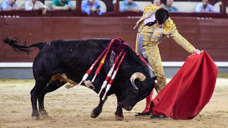 Natural de Cid de María ante el novillo con el que dio una vuelta al ruedo
