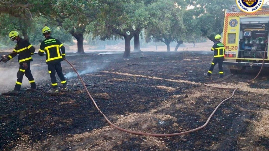 Bomberos actuando en el incendio declarado en Jerez de la Frontera (Cádiz)