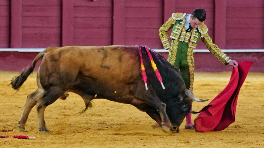 Natural de Molina durante su actuación este sábado en Málaga