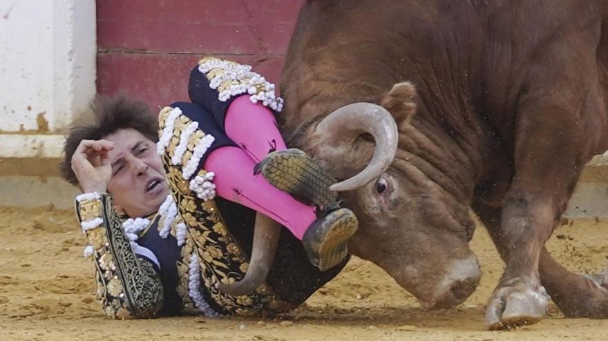 Momento de la cogida sufrida por Roca Rey este viernes en Valladolid