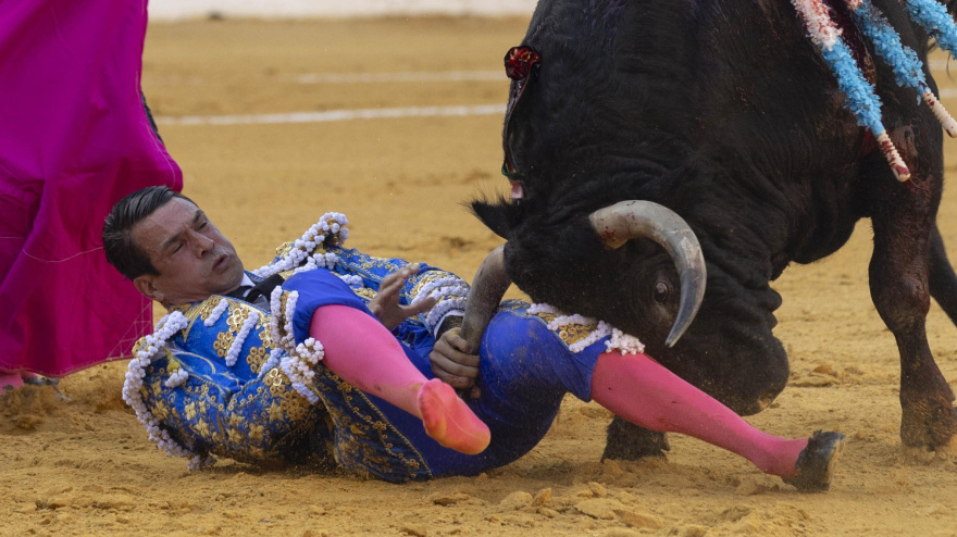 Momento del percance sufrido por José María Manzanares en Murcia