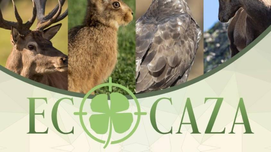 Ernesto Pérez, CEO de Eventur | Feria Ecocaza en IFECA