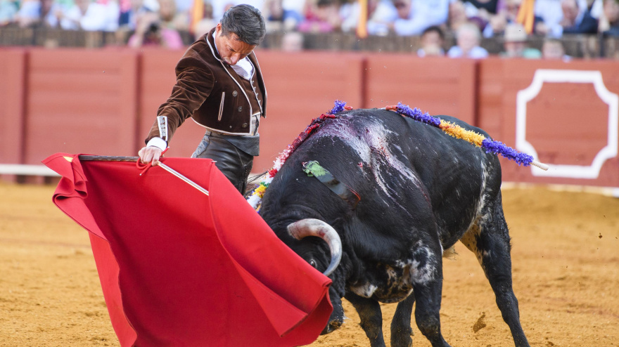 Diego Urdiales durante un festival taurino en la Real Maestranza de Sevilla