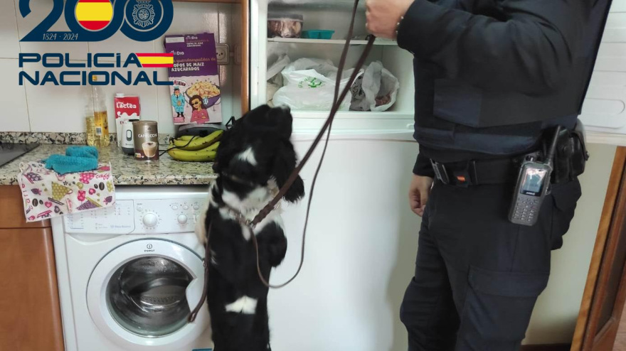 La Operación “Augusto” de la Policía Nacional de Burgos ataca la actividad de venta al por menor de sustancias prohibidas