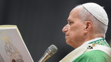 El Papa durante la celebración de la Santa Misa.