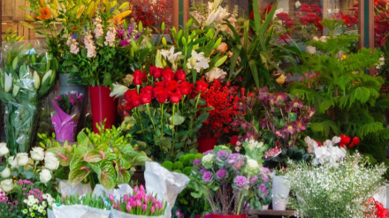 Flor y Flora te ofrece una gran variedad de arreglos para el Día de difuntos