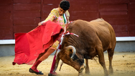Samuel Castrejón durante la final del 'Camino hacia Las Ventas'