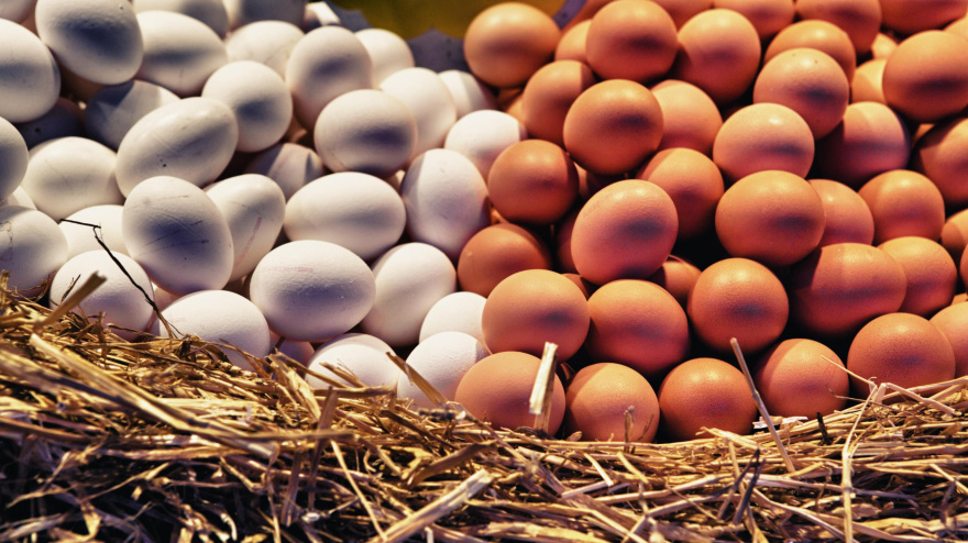 Imagen de recurso de huevos en una granja