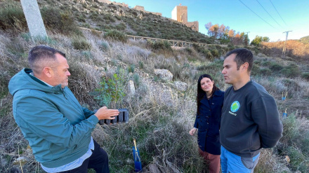 Concejales de Calidad Urbana y Medio Ambiente con el responsable de la asociación BosqueO2 ante el castillo de Lorca