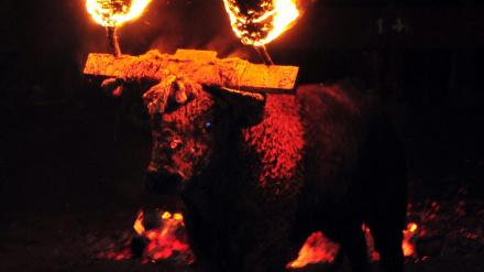 El Toro Jubilo se celebra en Medinaceli en el mes de noviembre de los actos de las fiestas en honor de los Cuerpos Santos