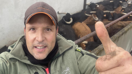 Diego Valladar y su apuesta por el encaste Murube en el hierro de 'Toros de La Morera'