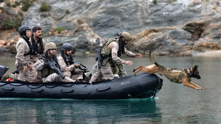 Ejercicio con unidad canina