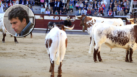 Álvaro Fernández, en El Albero
