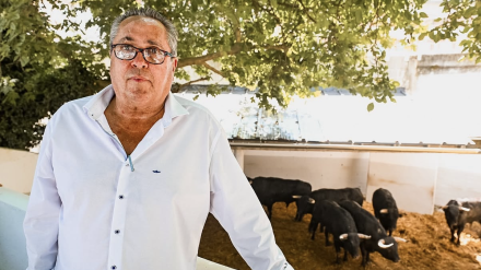 José Antonio Baigorri, en El Albero