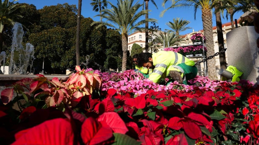 Decoración floral en Cartagena
