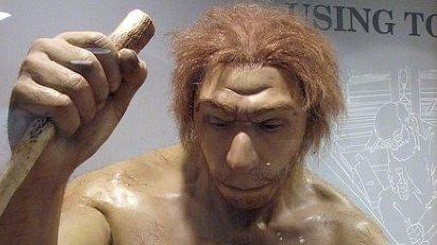 Descubre por qué no es un insulto que te llamen neandertal: en el fondo, compartes sus genes
