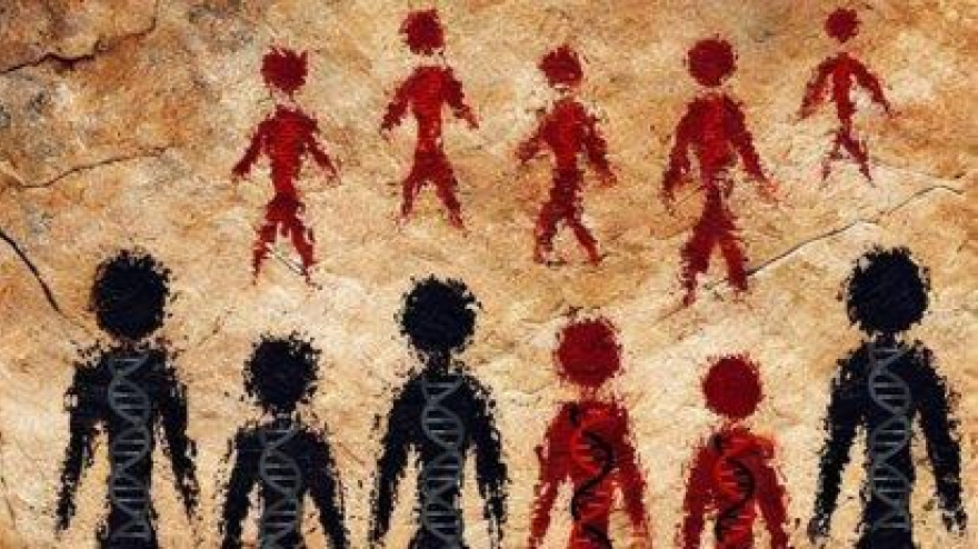 Ilustración de un encuentro entre un grupo de neandertales y un grupo de humanos modernos con descendencia (rojo, fila inferior) que muestra una ascendencia neandertal reciente, imaginada como una pintura de arte rupestre