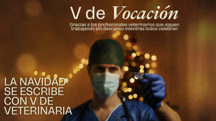 Cristina Velasco, presidenta Colegio Veterinarios de Cádiz