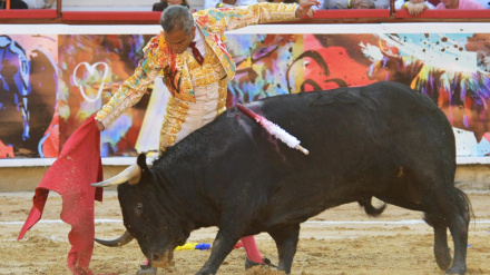 Luis Bolívar, durante su actuación este domingo en Cali (Colombia)