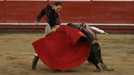 César Rincón, durante su actuación en el festival de Manizales (Colombia)