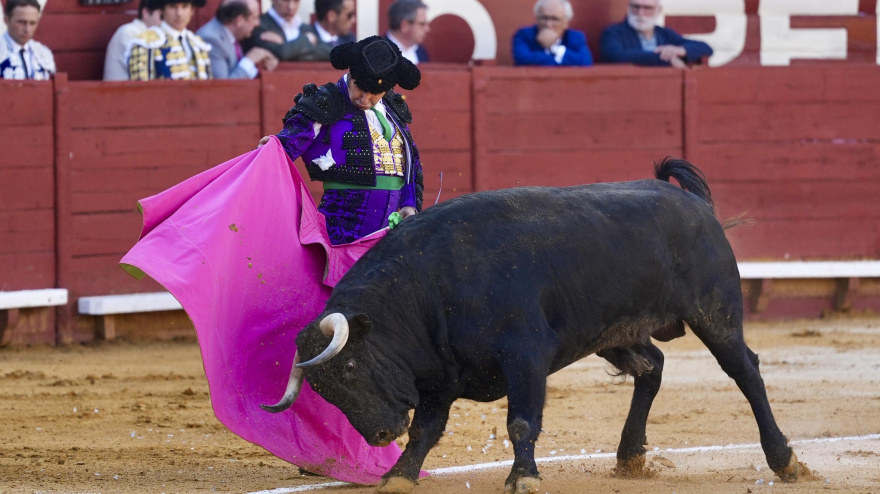 Morante de la Puebla durante una actuación en Jerez de la Frontera