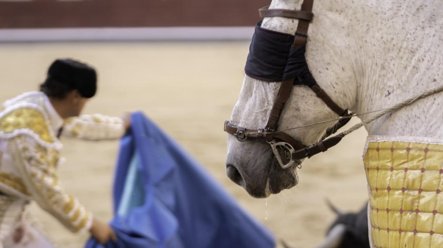 El pesaje público de los caballos de picar, solicitud de la Asociación El Toro de Madrid