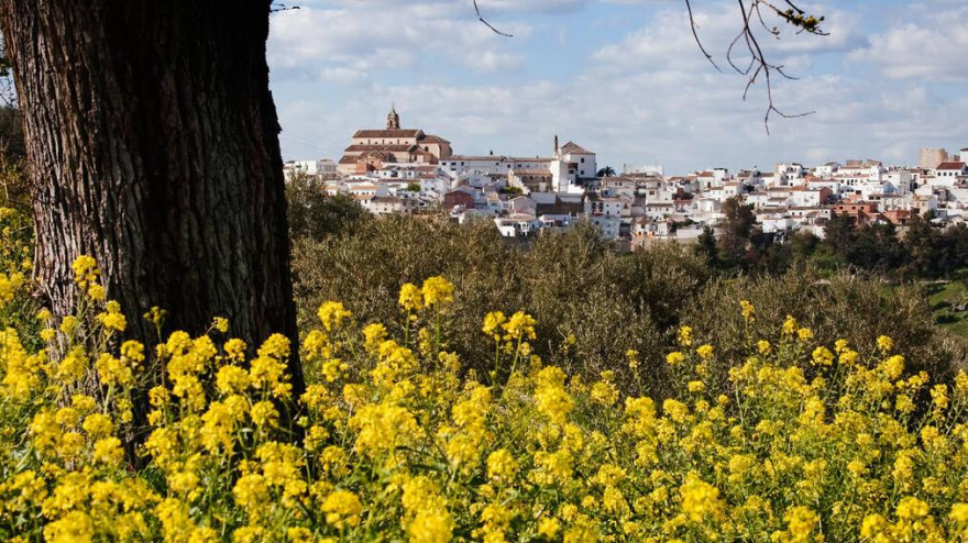 BY086K BY086K Baena Cordoba Andalucia Espana village Baena Cordoba Andalusia Spain