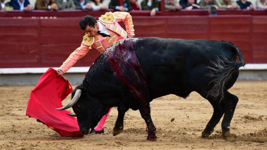 Derechazo de Damían Castaño ante el primer toro de su lote
