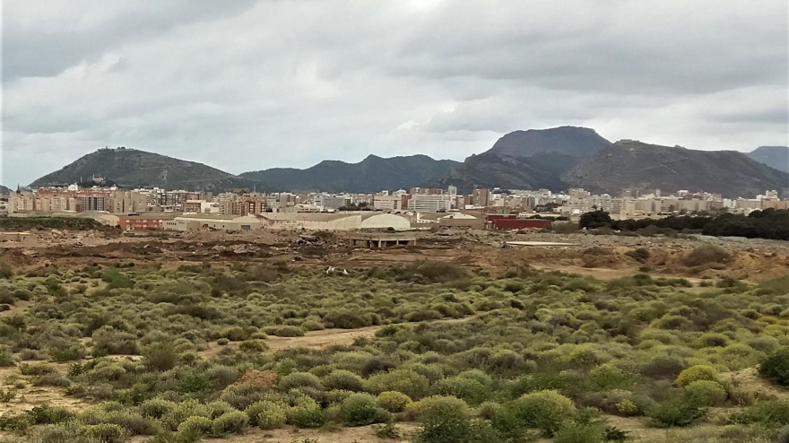 Terrenos de la antigua Zinsa