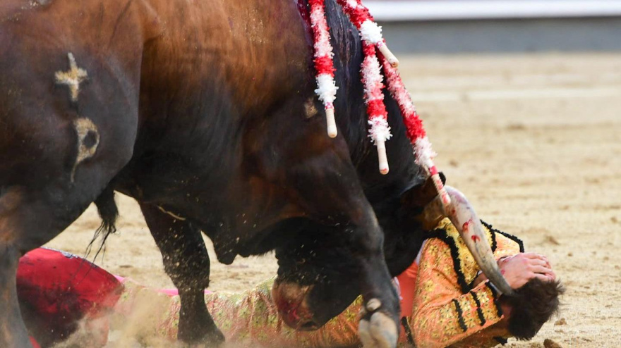 Momento del percance sufrido por Luis Gerpe este domingo en Las Ventas