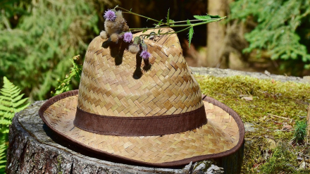 Caminar en mayúsculas, con Miguel Lechuga |12 SEP 2024|