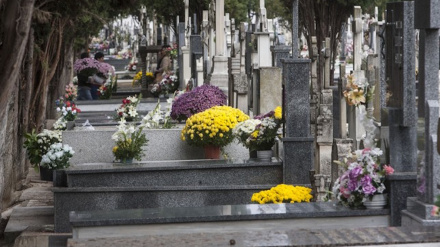 Cementerio de Palencia