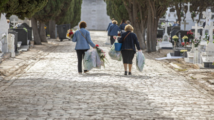 Cementerio La Soledad