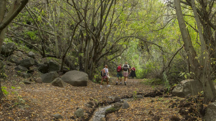 Barranco del los Cernícalos