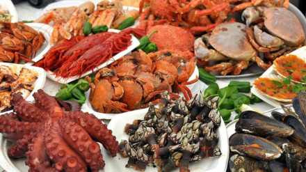 Imagen de archivo de marisco