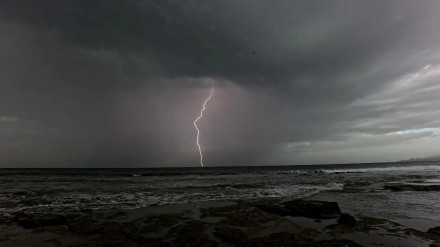 Imagen tomada en el sur de Tenerife. | Imagen: Joaquín Adán Adàn