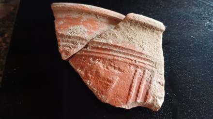 Restos arqueológicos encontrados en Salillas