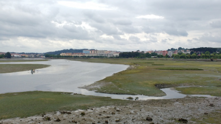 Ría de O Burgo en 2018