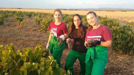 Jóvenes agricultores