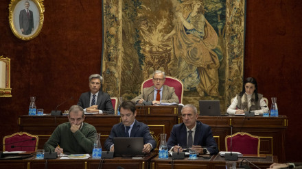 Pleno de la Diputación