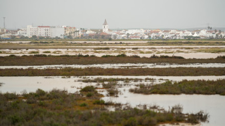 Terrenos anegados del municipio de Riotinto. A 21de enero de 2025, en Huelva (Andalucía, España). La Junta de Andalucía ha activado la fase 1 de emergencia ante riesgo de inundaciones del Plan Especial de Emergencias (PERI), ante el aviso rojo por lluvias decretado en la provincia Huelva para este martes y de nivel amarillo en Sevilla.Francisco J. Olmo / Europa Press21/1/2025