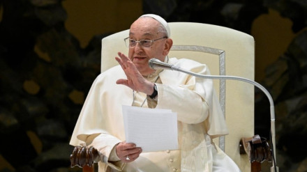 El Papa Francisco durante la audiencia general