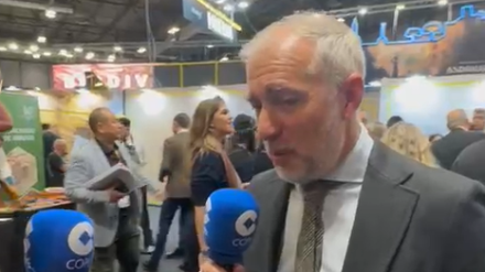 Emiliano Cabot, vicepresidente de la Agencia Destino Huelva, en FITUR 2025