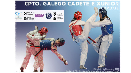 Cartel del campeonato gallego